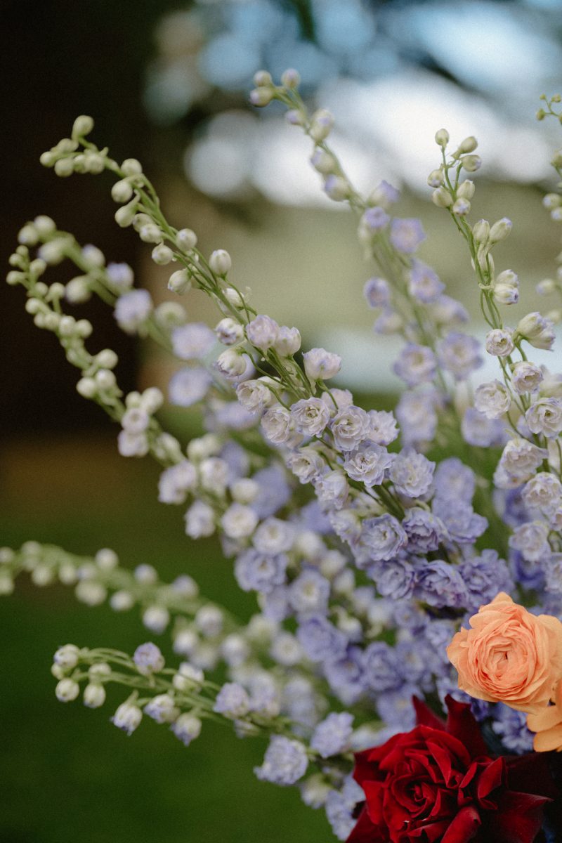 Catarina and Cameron Wedding Bendooley Bookbarn SMALL-25