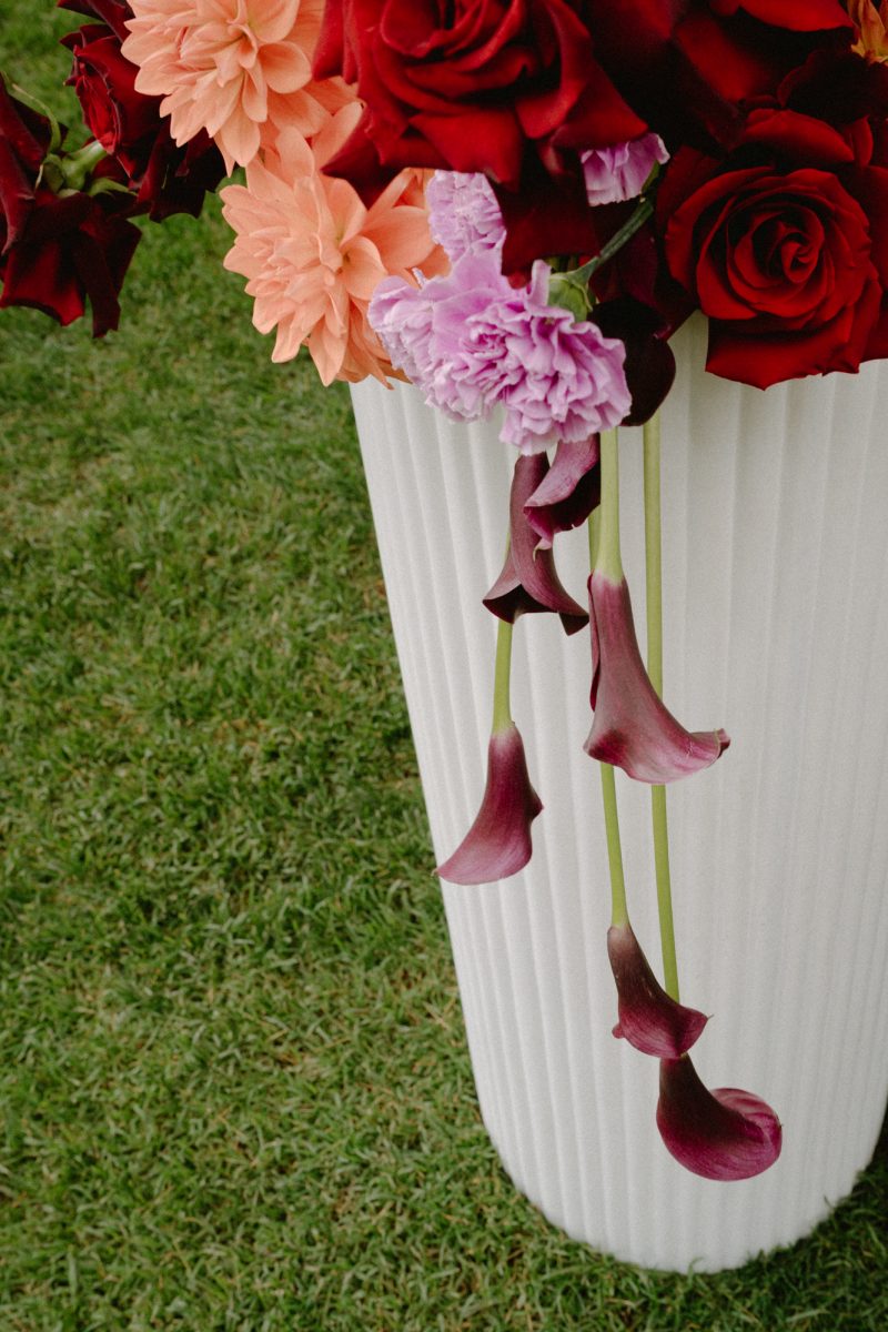 Catarina and Cameron Wedding Bendooley Bookbarn SMALL-26