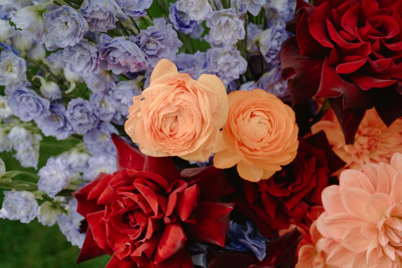 Catarina and Cameron Wedding Bendooley Bookbarn SMALL-27