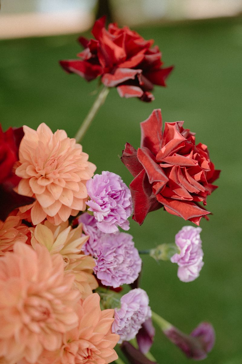 Catarina and Cameron Wedding Bendooley Bookbarn SMALL-28