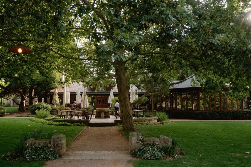 Celia and Sanji Sneak peek SMALL-103