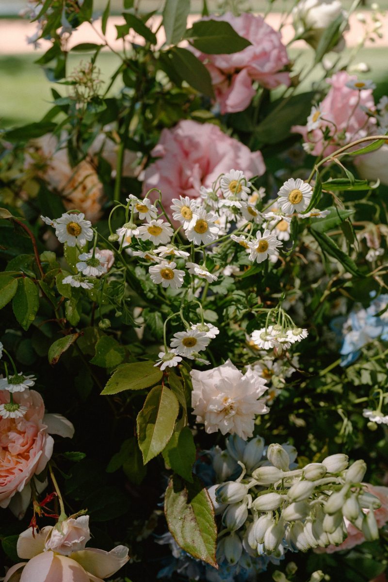 Celia and Sanji Sneak peek SMALL-20