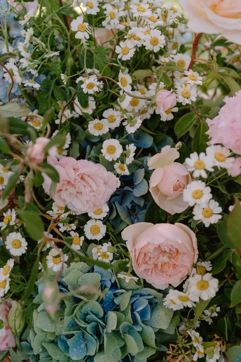 Celia and Sanji Sneak peek SMALL-22