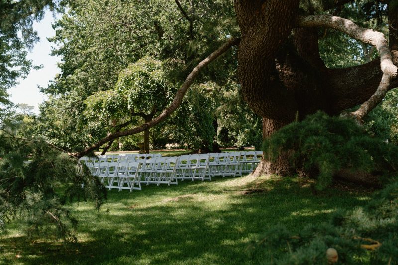 Celia and Sanji Sneak peek SMALL-4