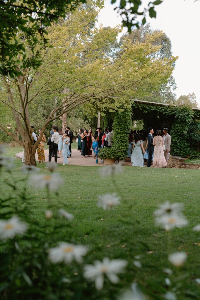 Celia and Sanji Sneak peek SMALL-56