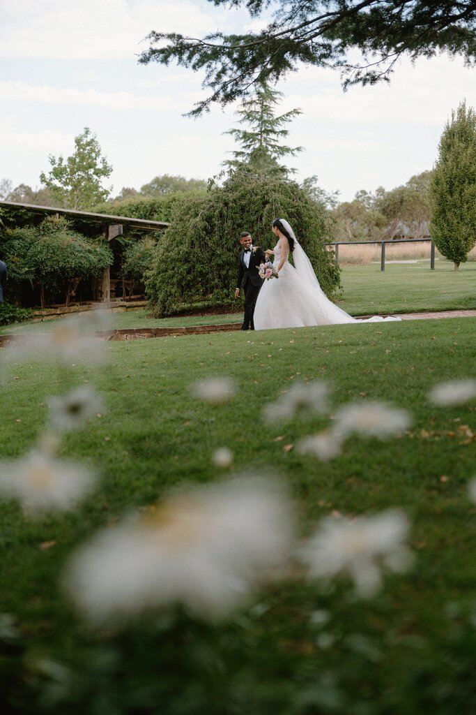 Celia and Sanji Sneak peek SMALL-58