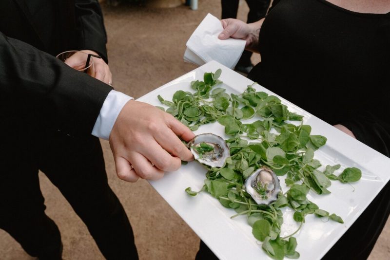 Celia and Sanji Sneak peek SMALL-61