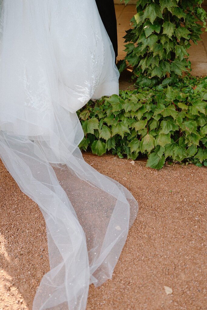 Celia and Sanji Sneak peek SMALL-86