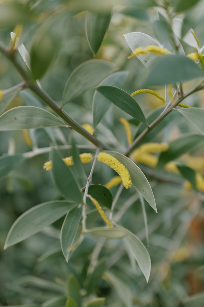 Crystal and Christopher Portraits-68