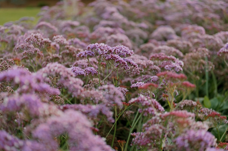 Crystal and Christopher Portraits-75