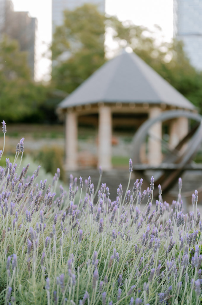 Crystal and Christopher Portraits-85