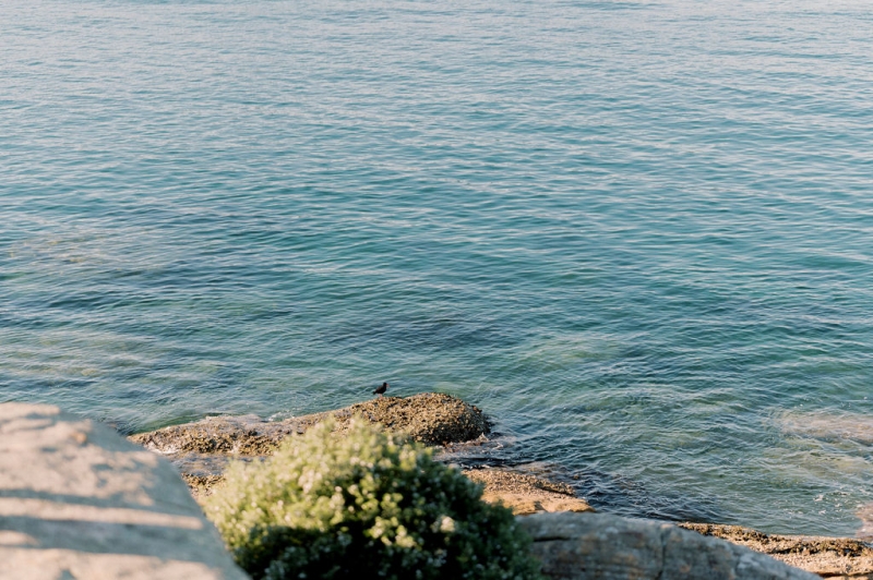 CrystalMattelopement-339