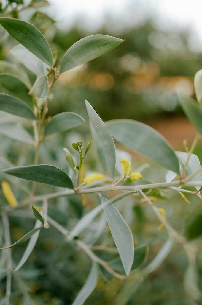 Damian and Michelle Online-77