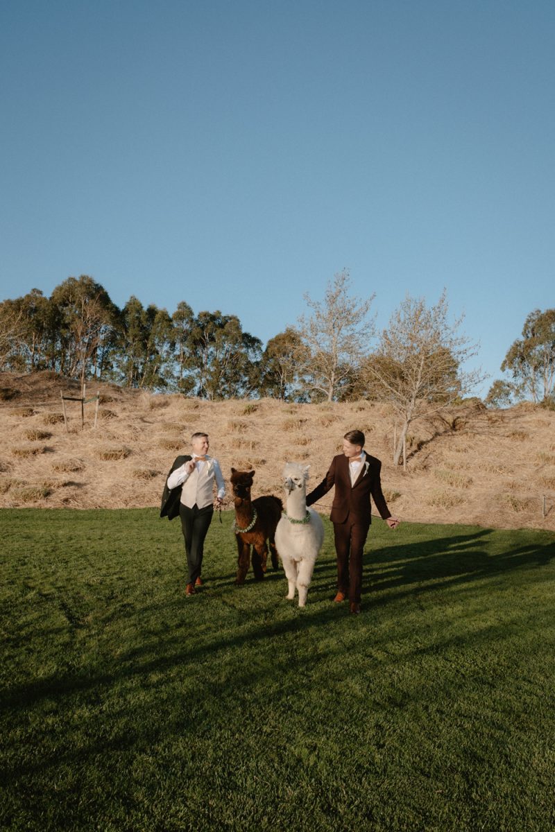 Dan and Flynn Wedding Sneak Peek Small-110