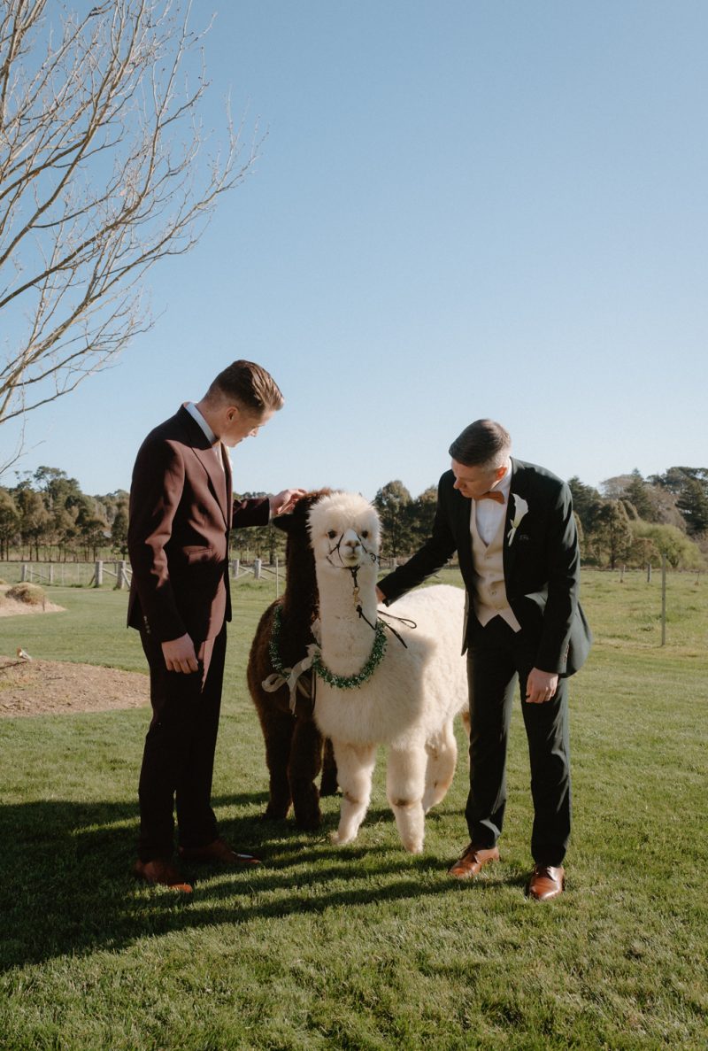 Dan and Flynn Wedding Sneak Peek Small-66
