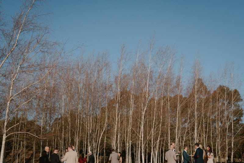Dan and Flynn Wedding Sneak Peek Small-95