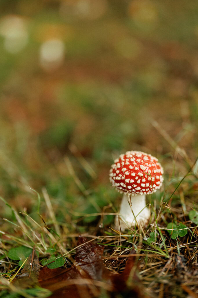 Dan and Kyle Wedding Online-5