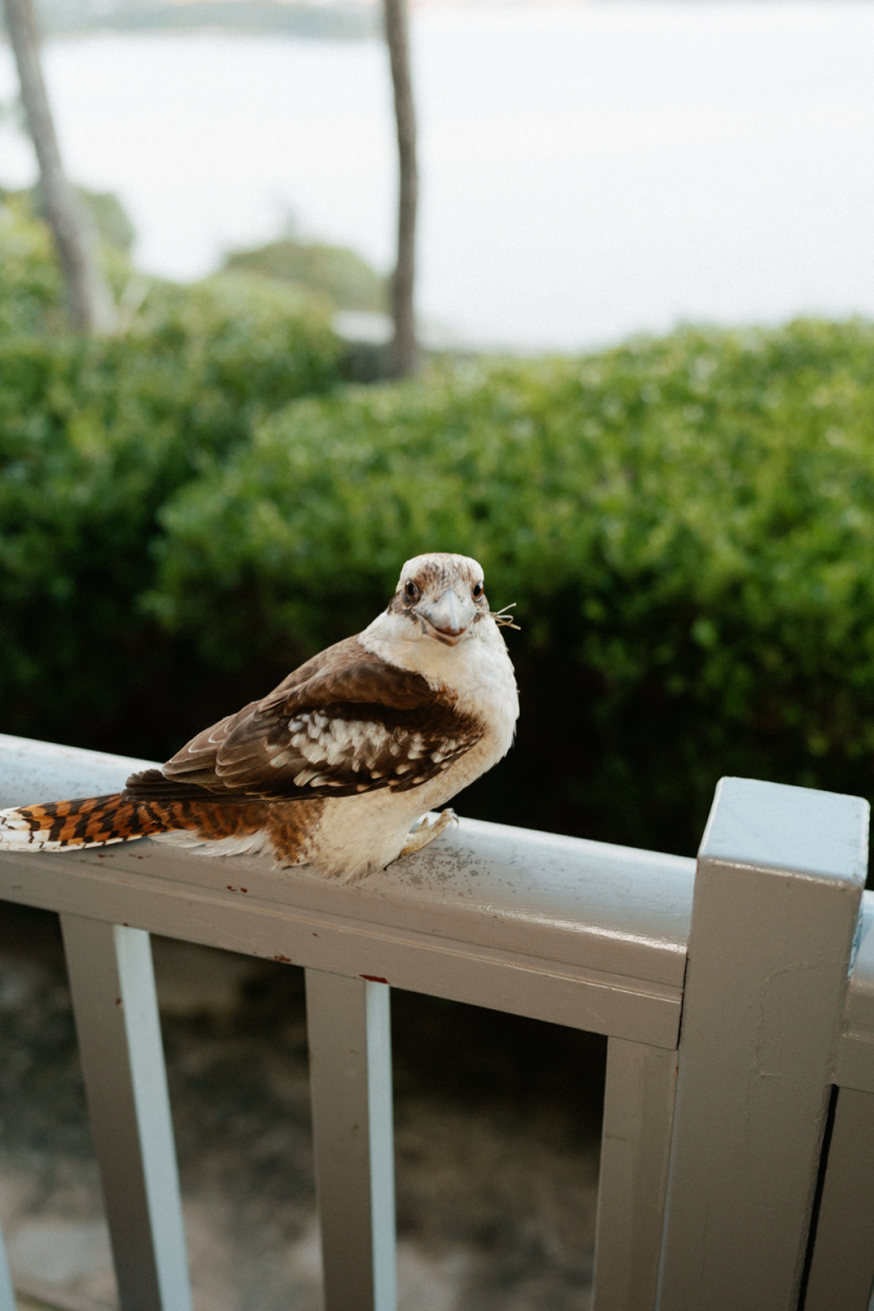 DandN Website Gunners Barracks-169