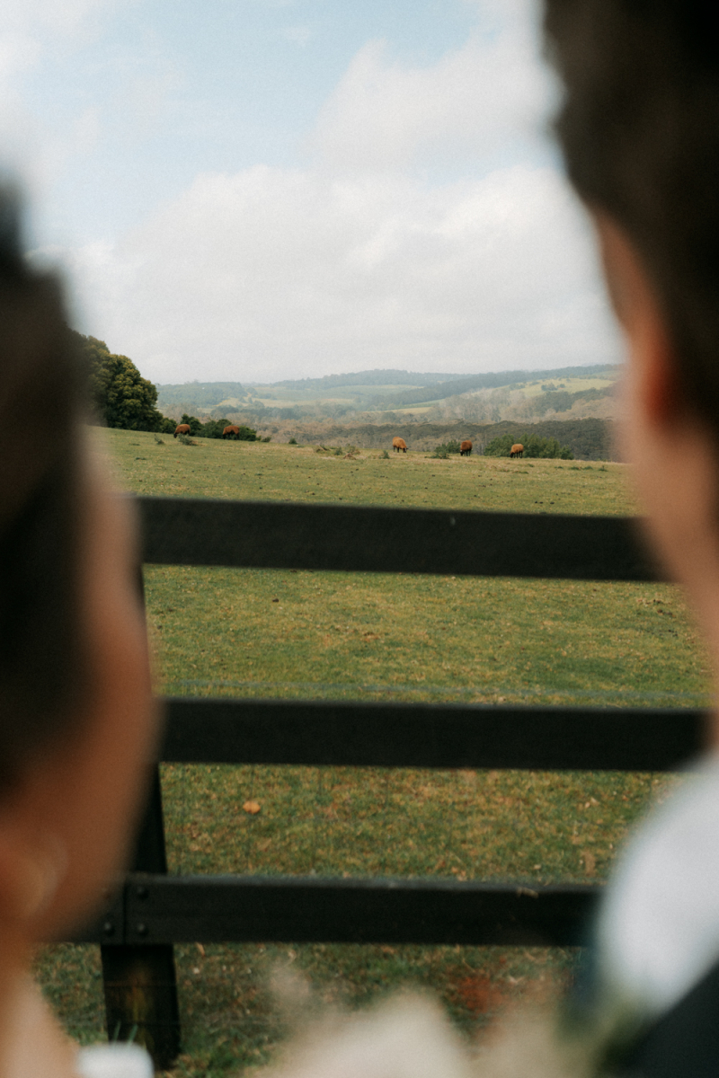 Devon and Edward Robertson Public House and Kitchen-120