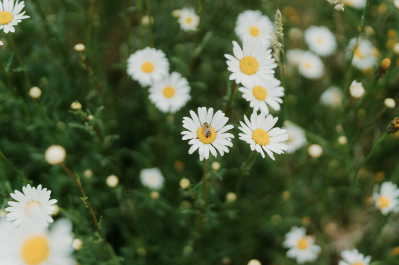 Devon and Edward Robertson Public House and Kitchen-193