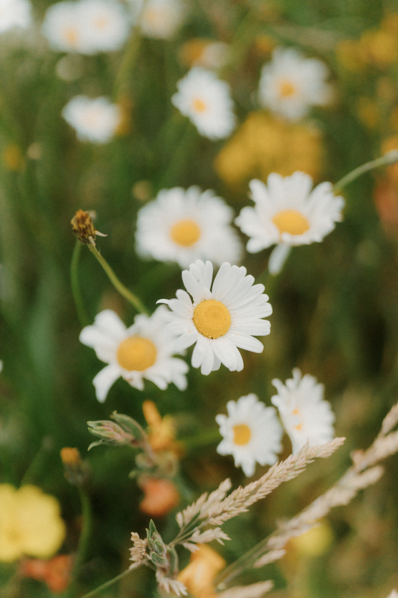 Devon and Edward Robertson Public House and Kitchen-200