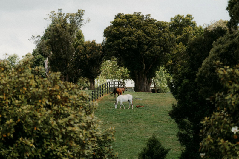 Devon and Edward Robertson Public House and Kitchen-53