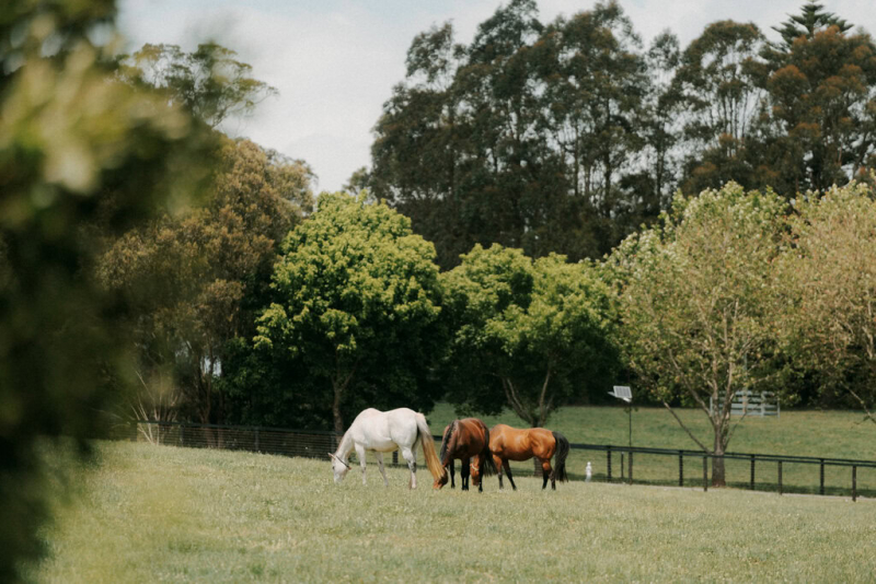 Devon and Edward Robertson Public House and Kitchen-8