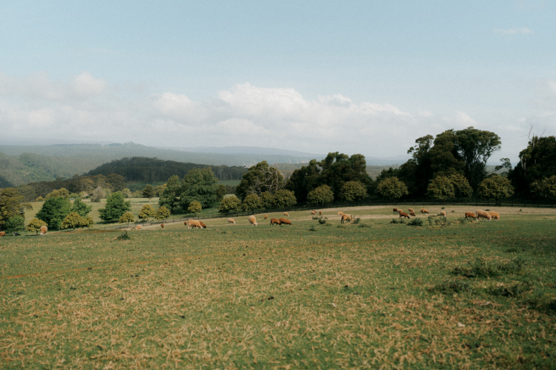 Devon and Edward Robertson Public House and Kitchen-88