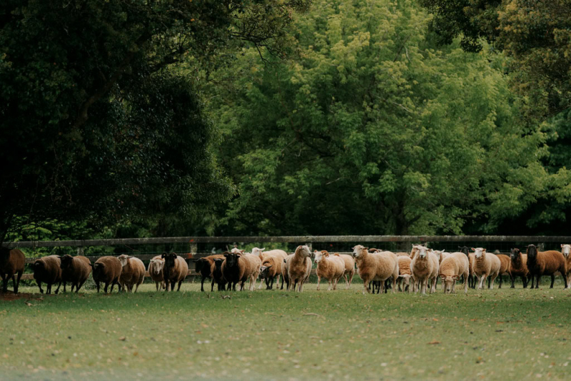 Devon and Edward Robertson Public House and Kitchen-9