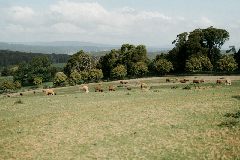 Devon and Edward Robertson Public House and Kitchen-97