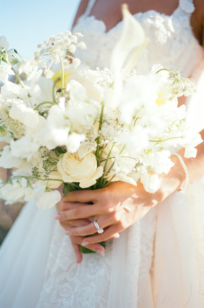 Diana and Nick Film Small