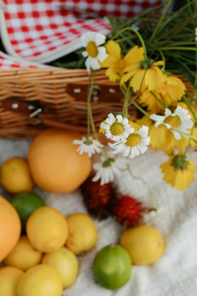 Dilshan and Krishni portraits lincolns rock blue mountains-10