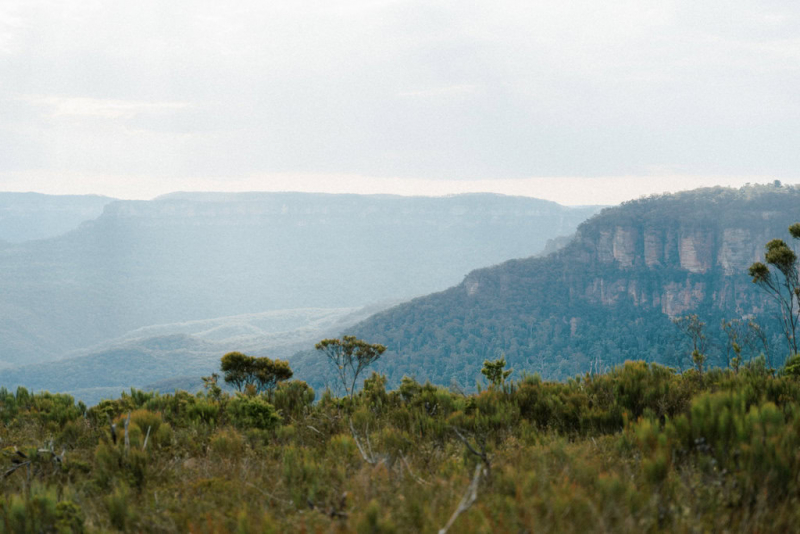Dilshan and Krishni portraits lincolns rock blue mountains-17