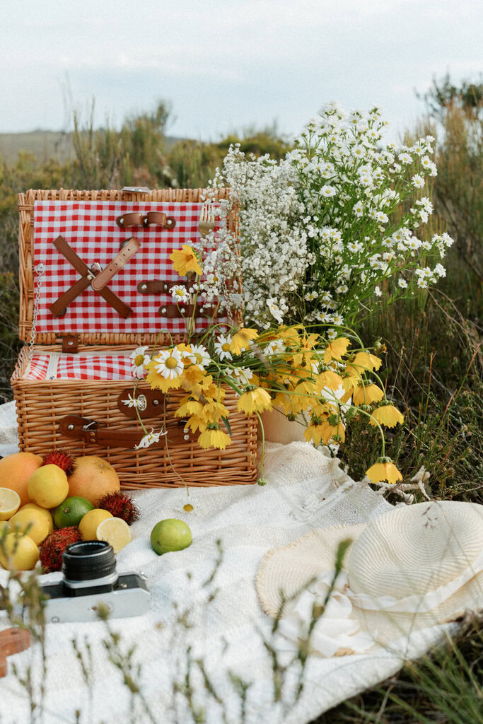 Dilshan and Krishni portraits lincolns rock blue mountains-3
