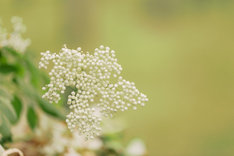 Emma and Bernie Stonehurst-10