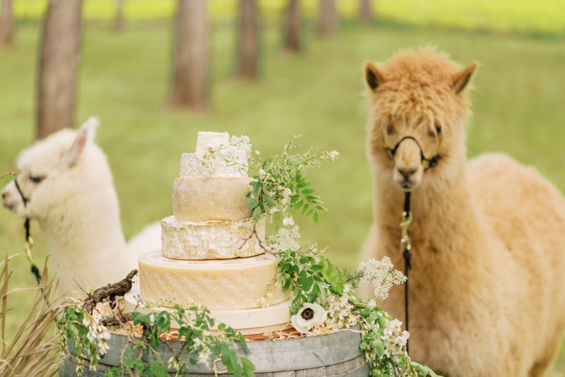 Emma and Bernie Stonehurst-7