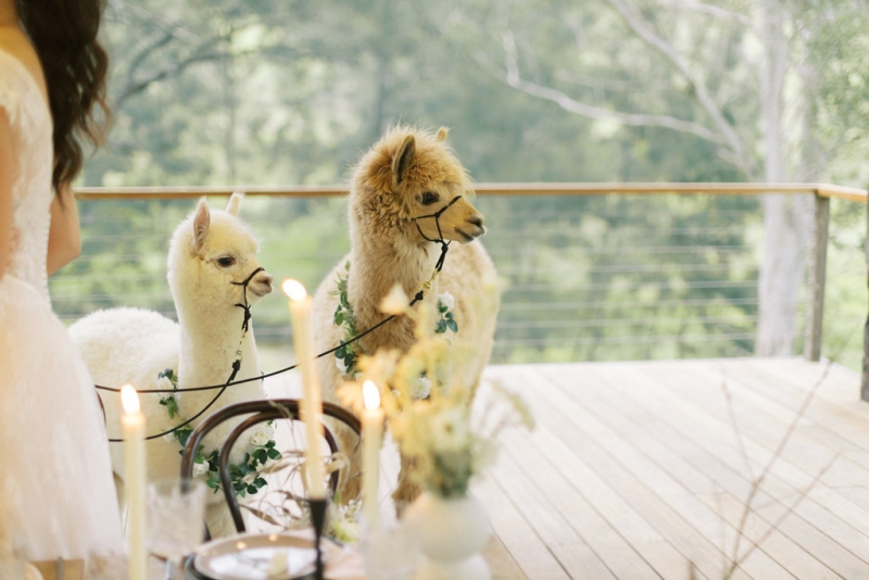 Emma and Bernie Stonehurst-77