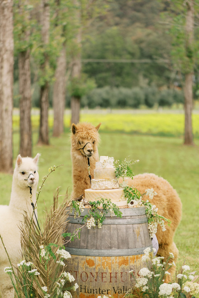 Emma and Bernie Stonehurst-8