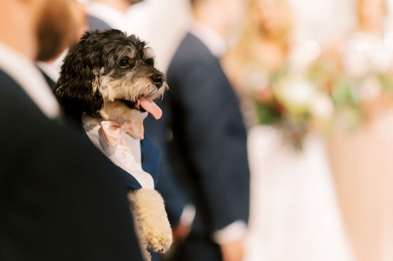 EmmaandDavidWedding-334