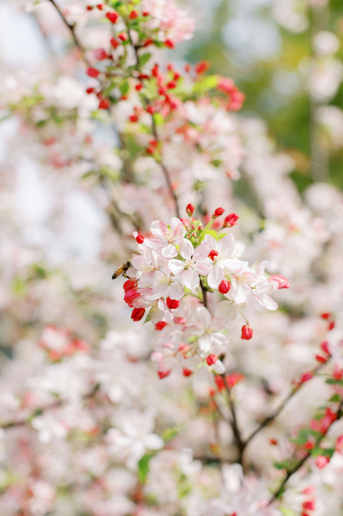 EshanaandKumiWedding-1