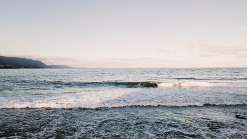 FireCharityFamilyShootSandonPoint-237