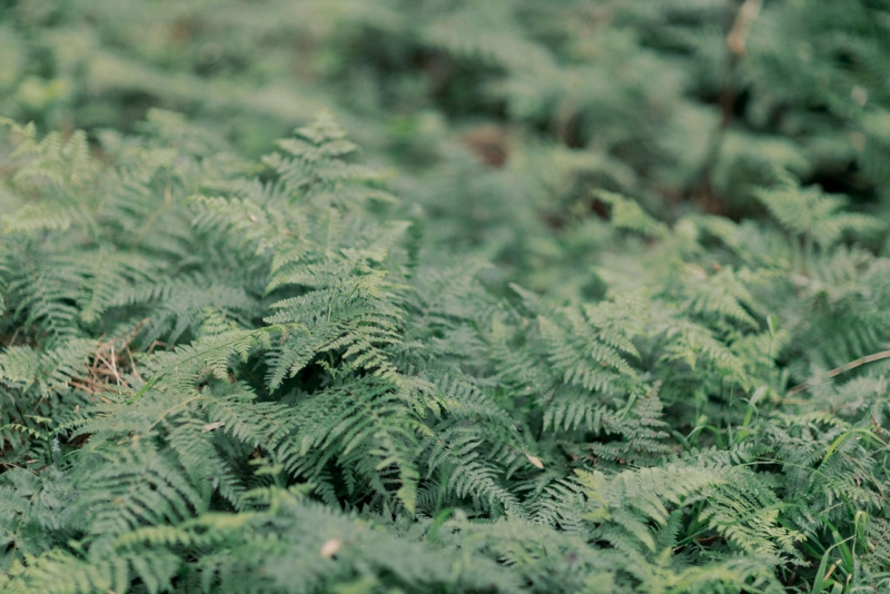 GemmaandTimPreWedding-168