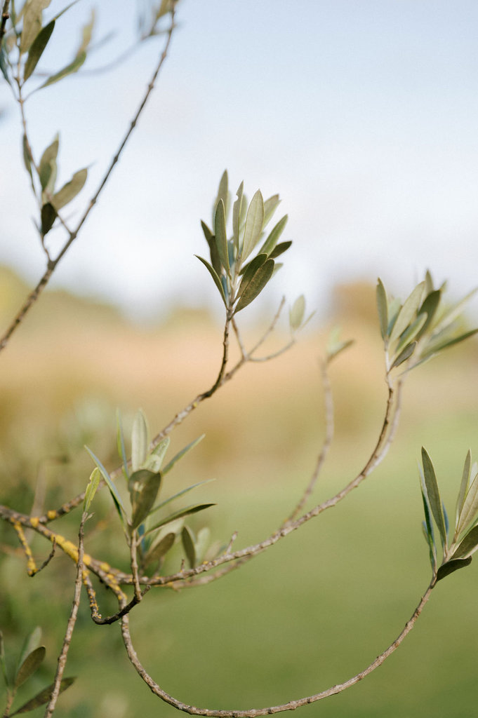 GeorgiaandRyanWedding-27