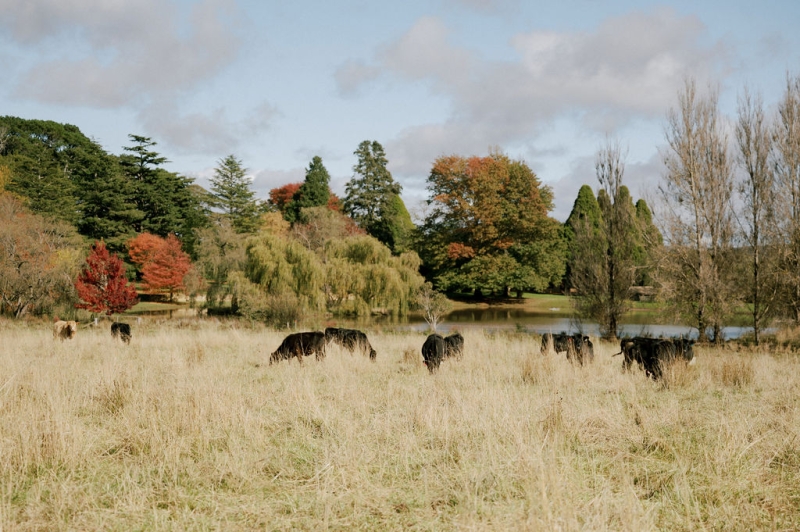 GeorgiaandRyanWedding-31