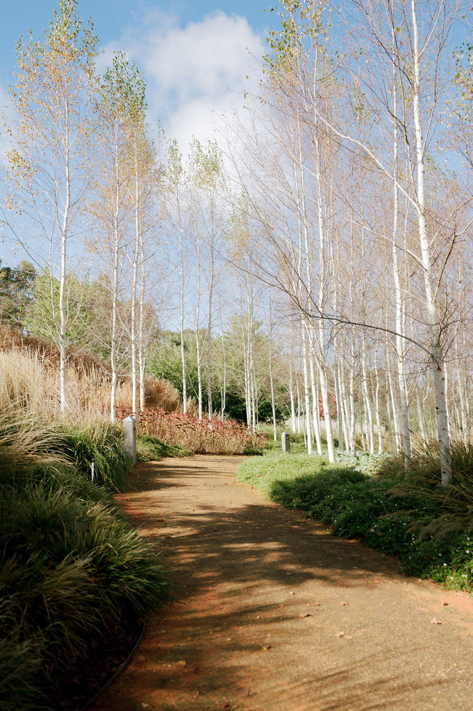 GeorgiaandRyanWedding-4