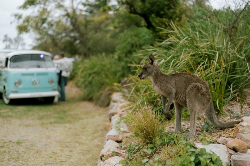 Hannah and Joel Wedding small-231