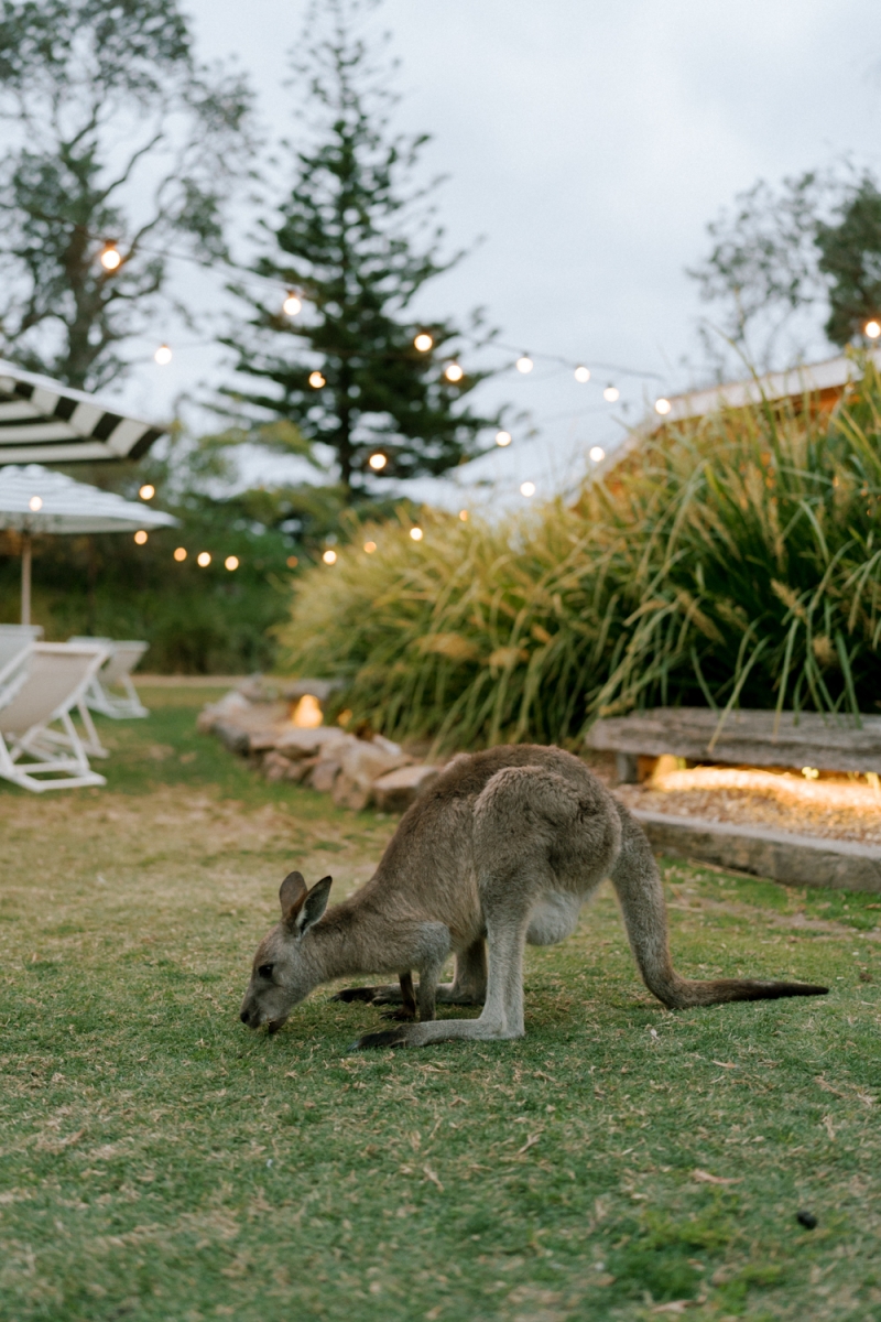 Hannah and Joel Wedding small-283