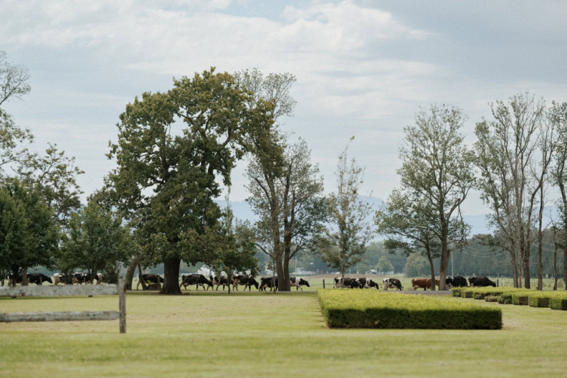 Hunter and Kelly Terrara House wedding photography-10