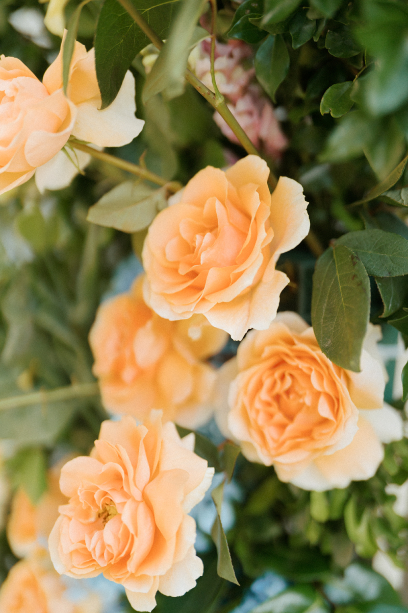 Hunter and Kelly Terrara House wedding photography-17