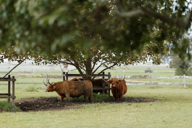 Hunter and Kelly Terrara House wedding photography-3